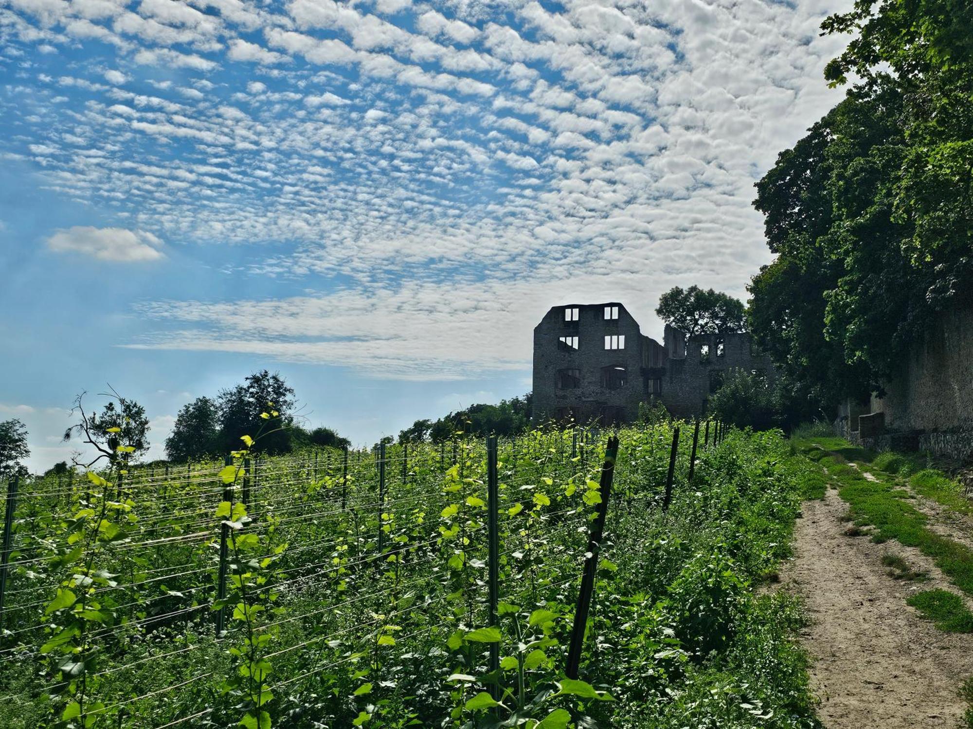 Willa Moderne Doppelhaushaelfte In Oppenheim Zewnętrze zdjęcie